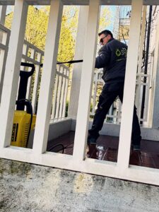 WhatsApp Image 2026-04-07 at 19.39.23