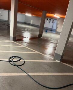 WhatsApp Image 2026-04-07 at 19.56.29